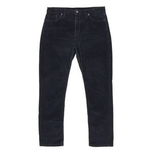 Patagonia Organic Cotton Everyday Corduroy Pants in Smolder Blue